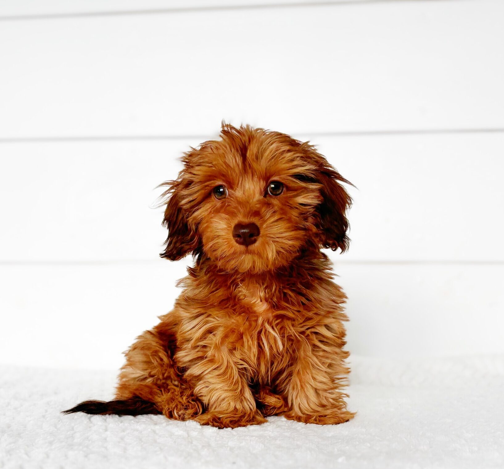 B6B70007-5872-4C05-8CE9-D4A73AA0AD55