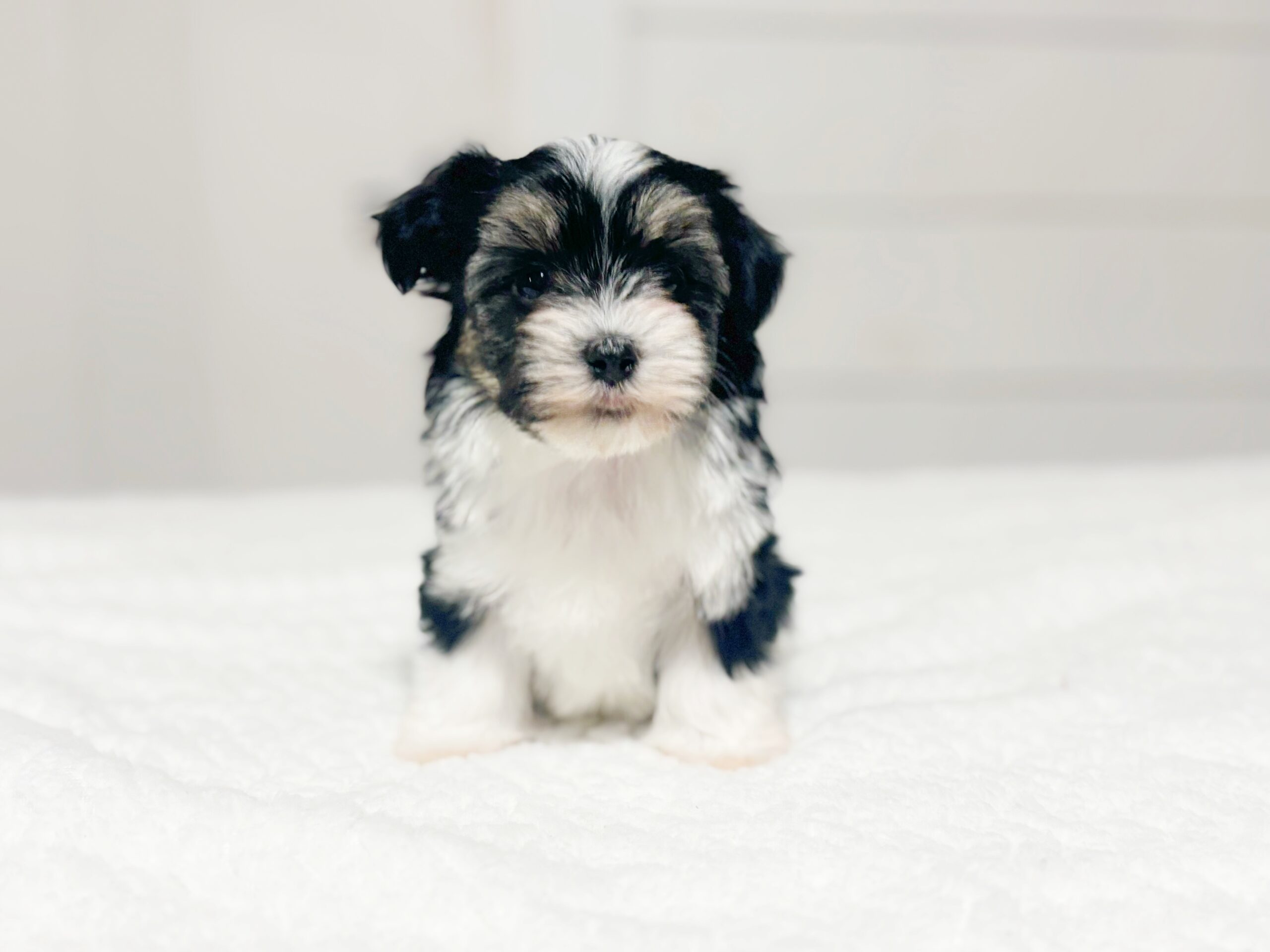 3C8CA168-9307-4071-B13B-B7FAF19ADCAB