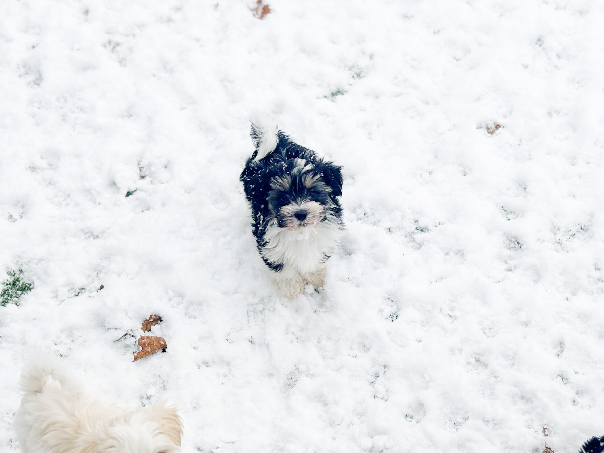 7B7A1AFD-3C37-462D-B9EA-BDEB50F2A7AD