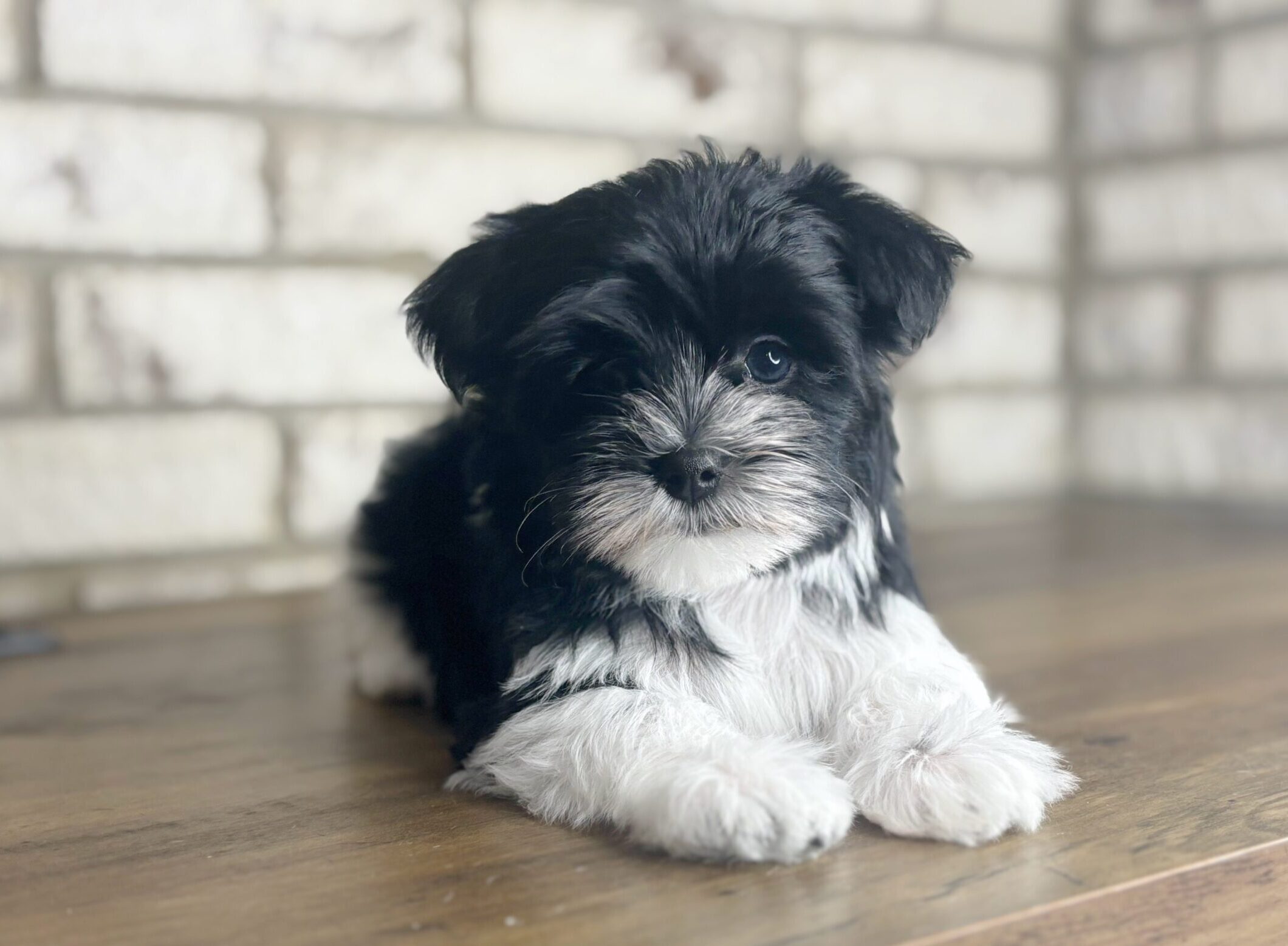 C5232D0C-5E7B-4037-9155-CD9FCD42A435