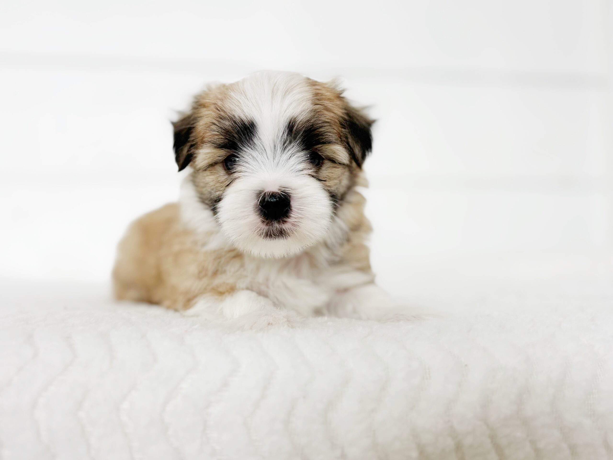 Media 1-6F0D39E8-B9DD-47DC-9B5B-C8C1E30918EC