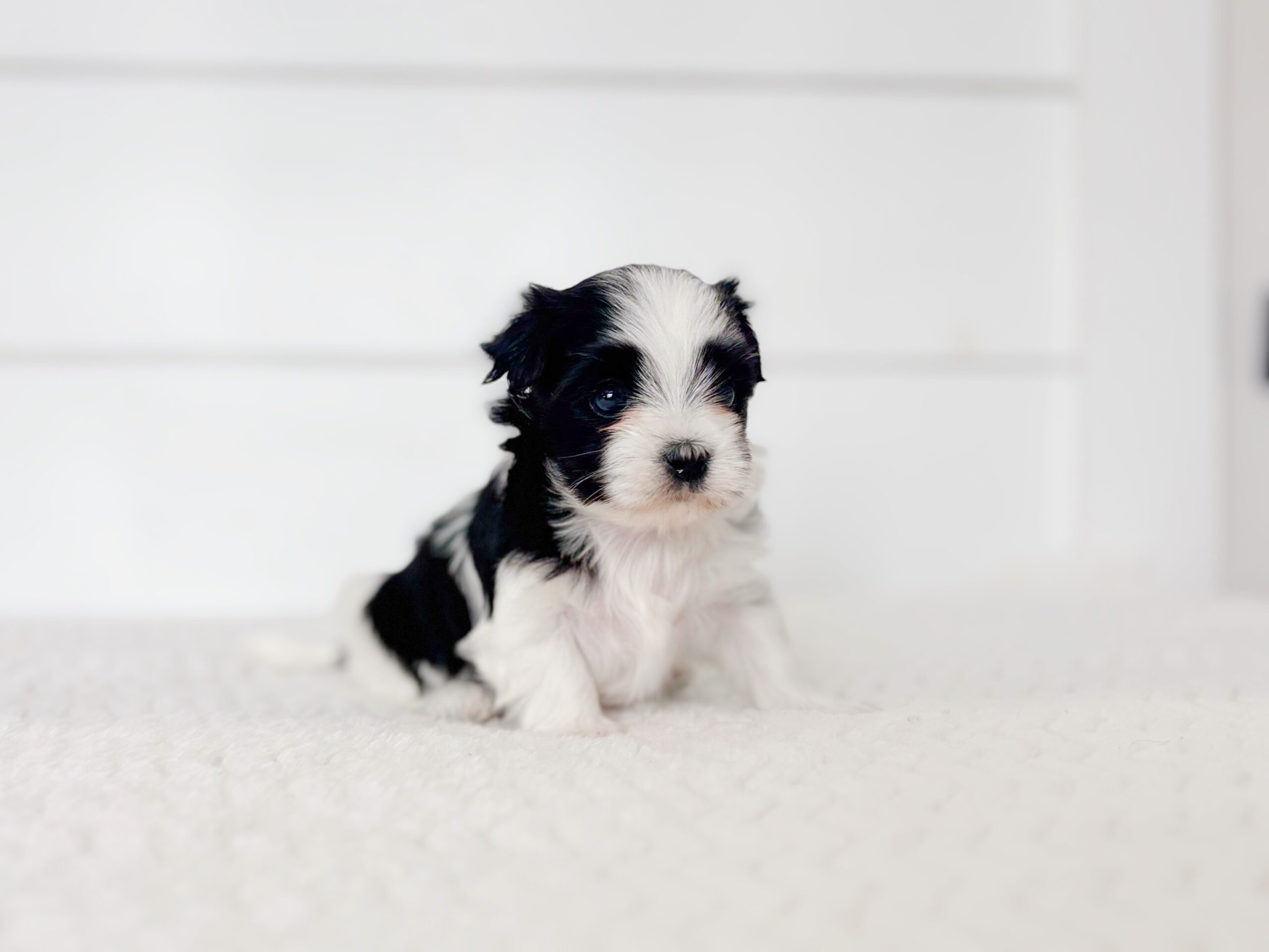 Media 2-2262C1DF-272F-4F4B-9222-B8AE79679D1E