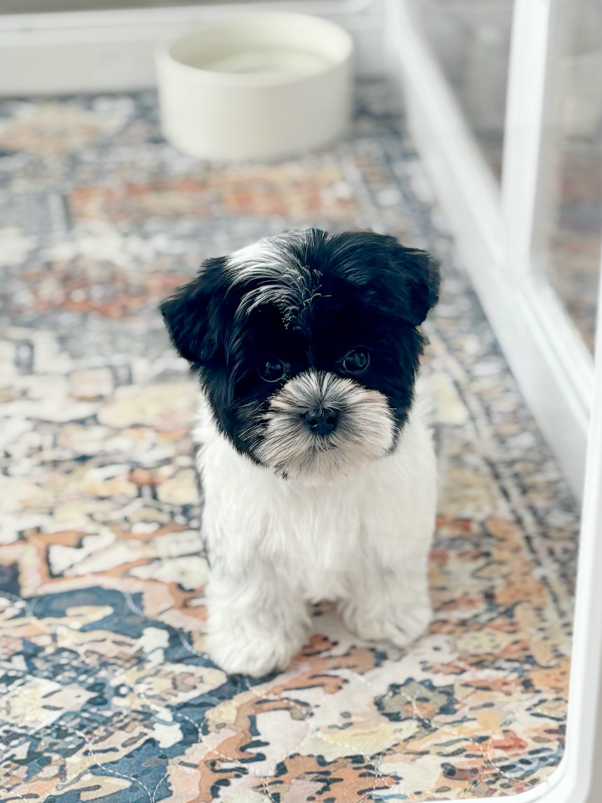 0AFFC059-8395-49A8-914E-8FF1FDA8127F