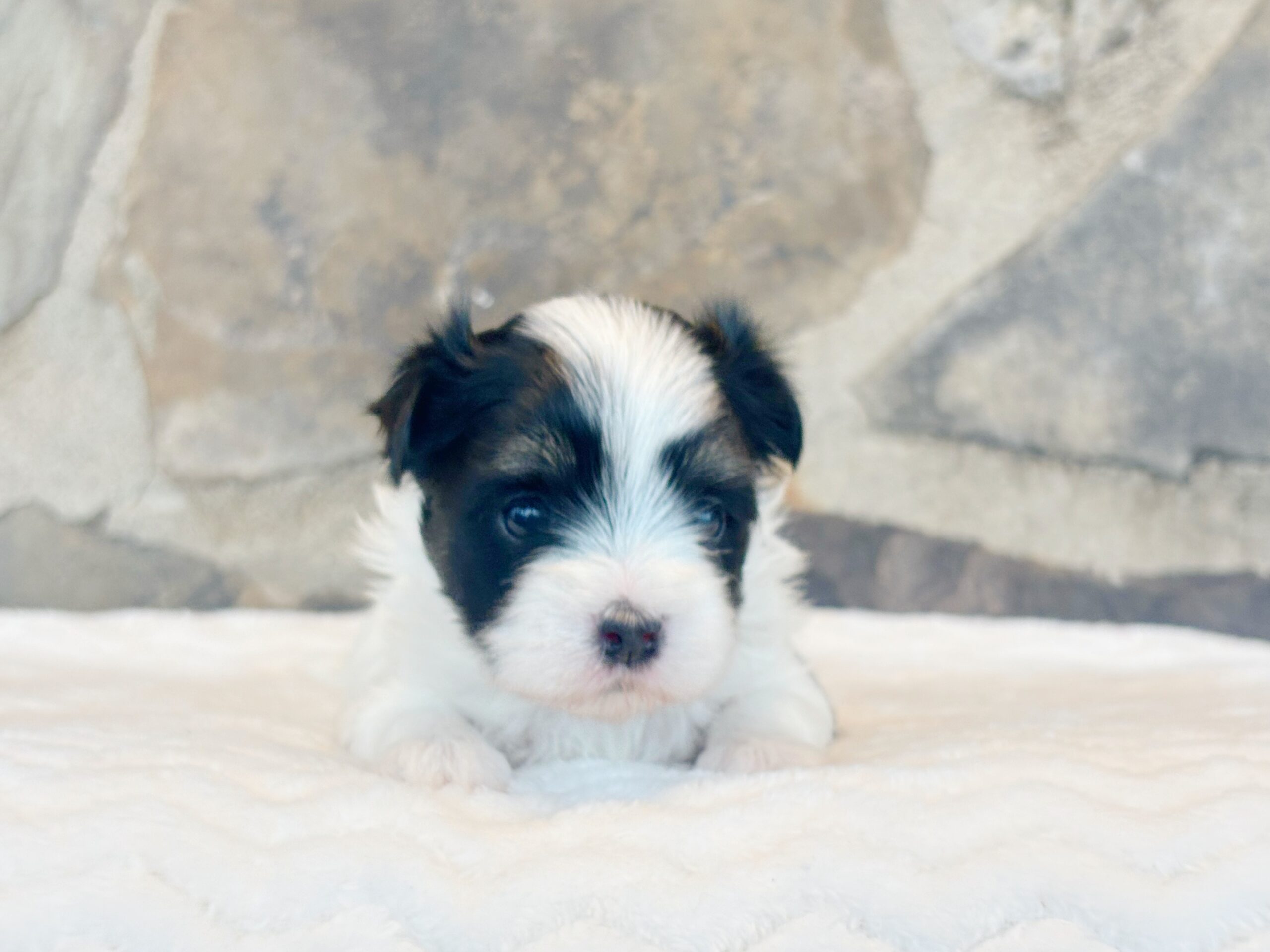 592C40D0-2468-4824-BD5C-050129CA4F58