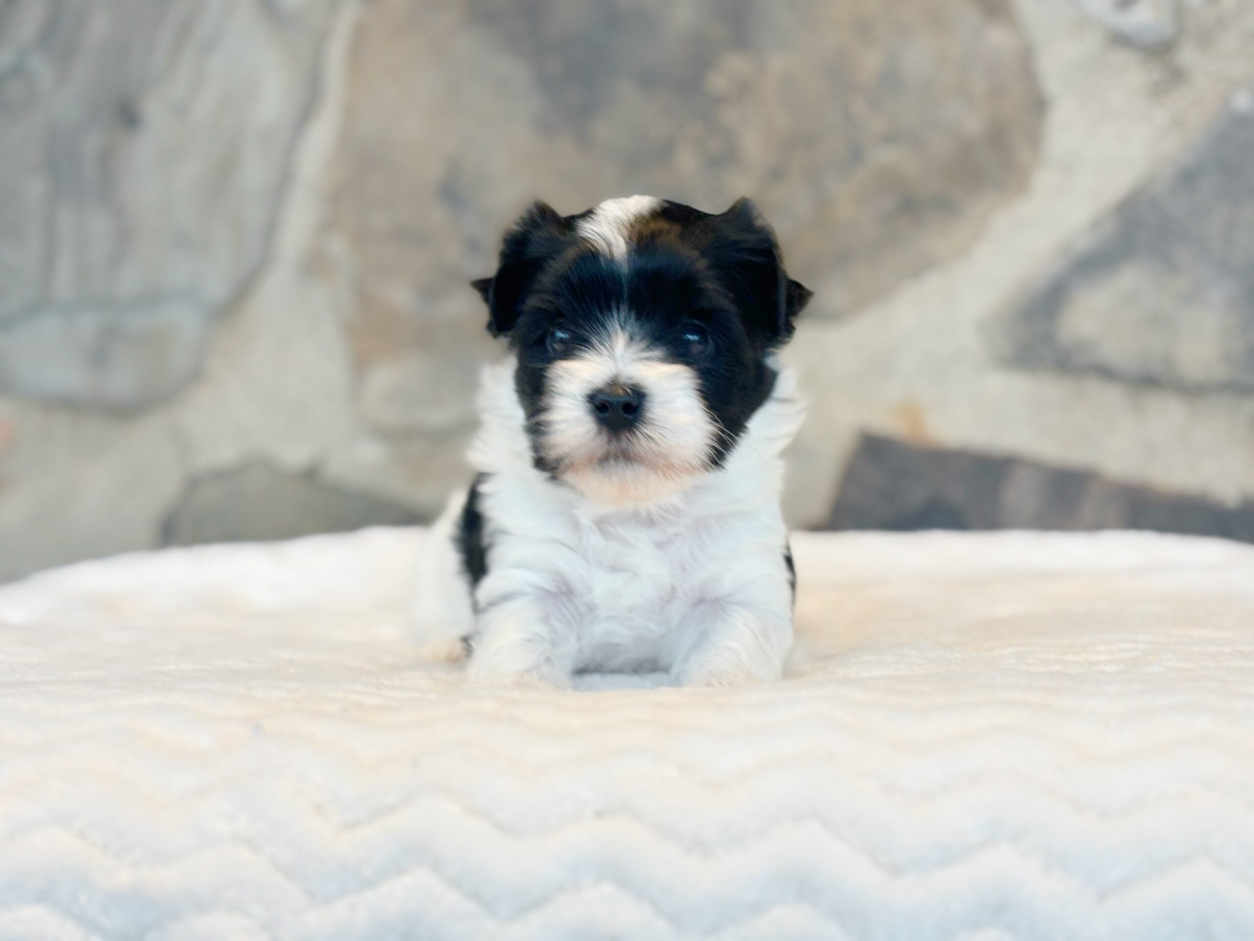 6014753E-2397-4404-9744-022AC1F2B1E5