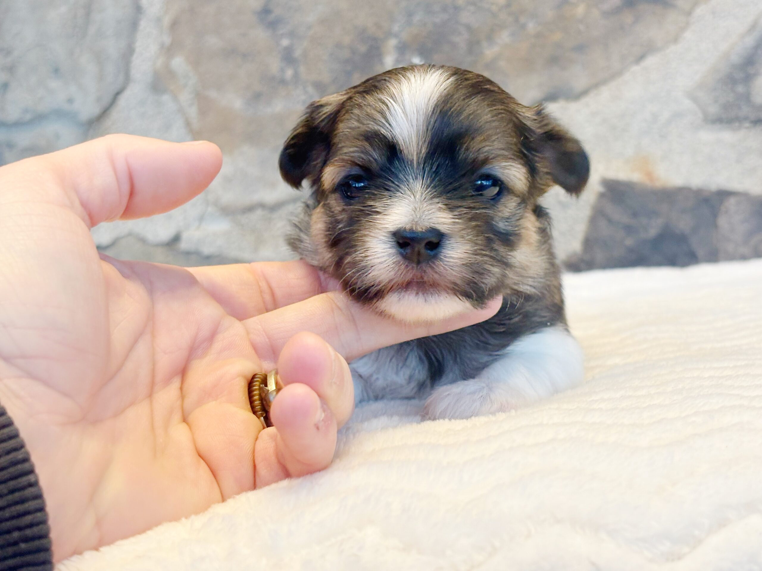 751CEB8D-DBA7-45BD-996F-A068A24F6B0A