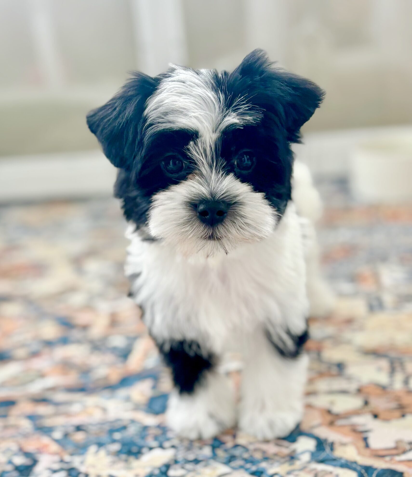 7925B32C-A962-49CC-9D43-E4F17A52FF5A