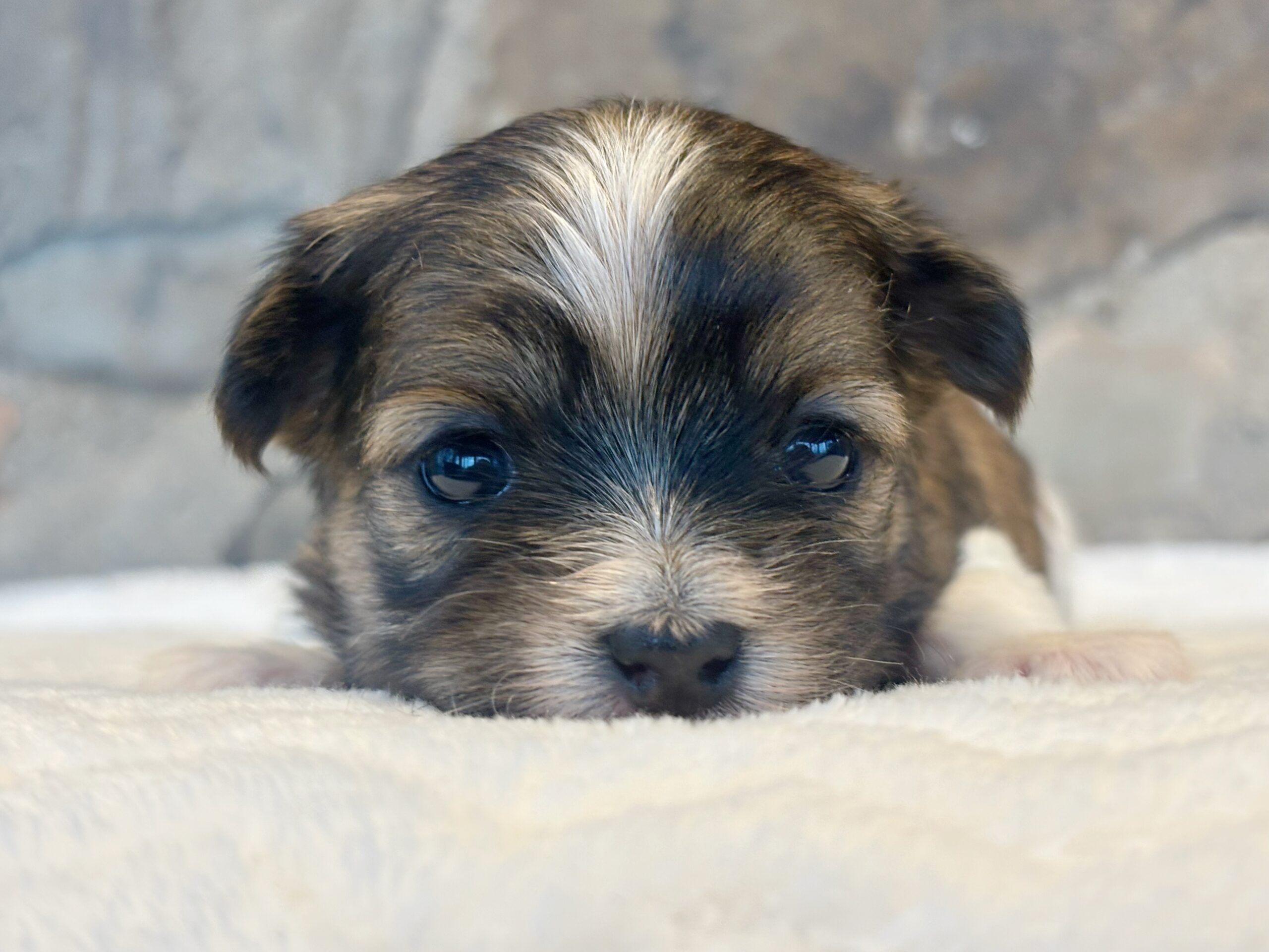 B5FE8DB0-6117-4DF4-B8F6-76A9F01EAC88